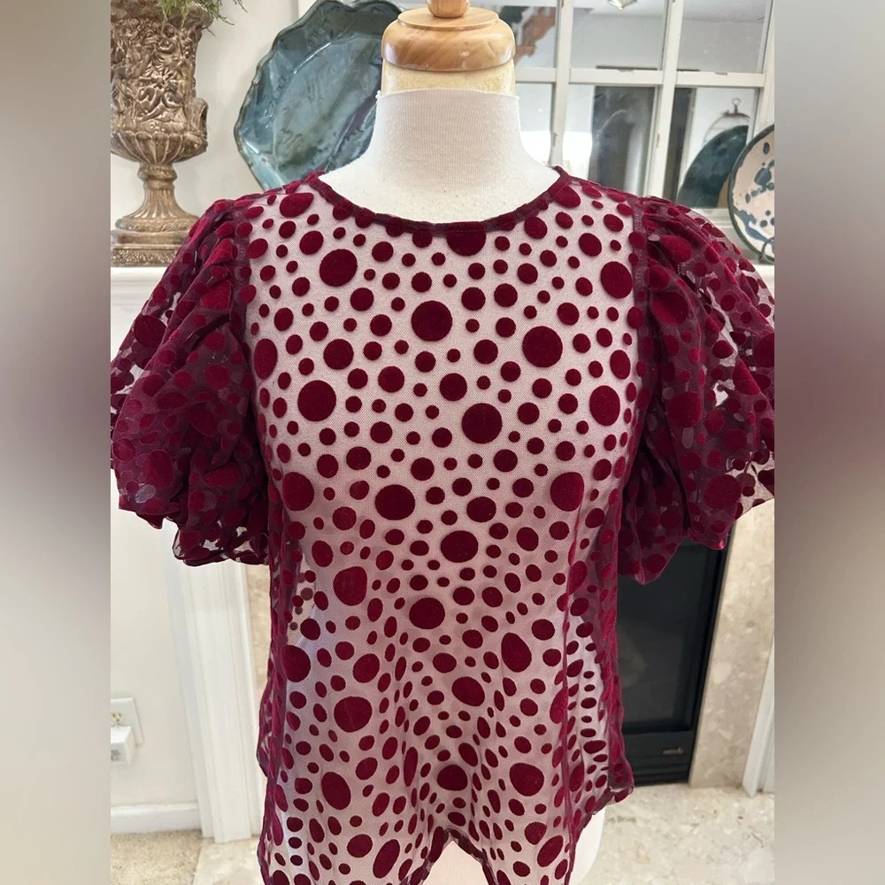 Haute Monde Burgundy Puff Sleeve Sheer Top - Picture 3 of 8